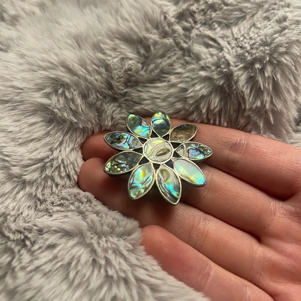 Stunning abalone brooch necklace combo